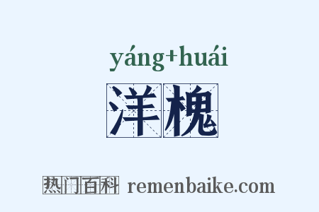 洋槐是什么意思的图片